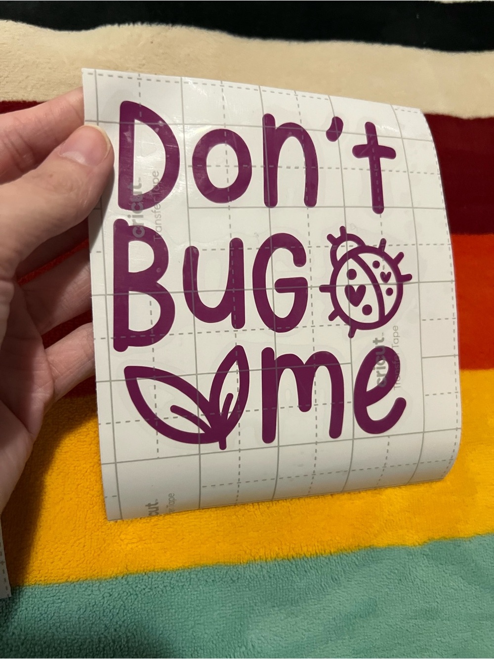 Don’t Bug Me Vinyl Decal 🐞